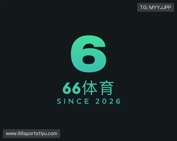 了解66体育